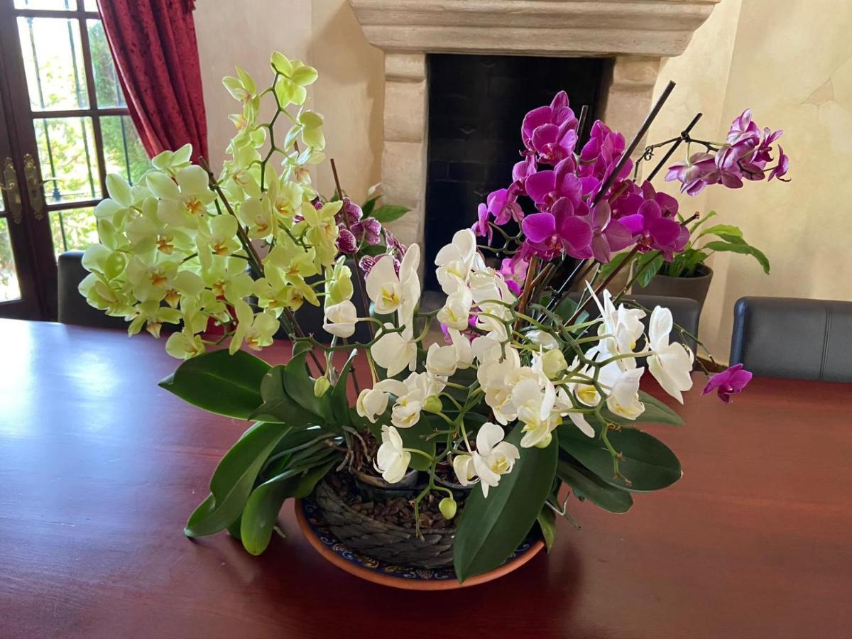 Villa Lampara En La Colina Benahavís Eksteriør billede